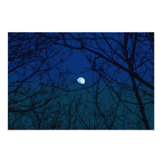 Impression Photo Lune dans Ombre Indigo Sky Tree Branches Silhouett (Devant)