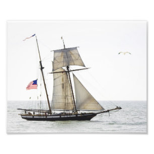 Impression Photo Lynx grand navire