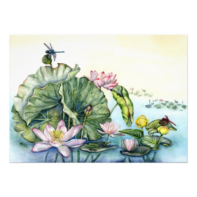 Impression Photo Lys d'eau japonais et fleurs de Lotus (Devant)