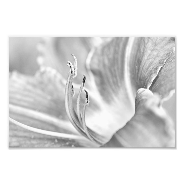 Impression Photo Macro Fleur B&W (Devant)