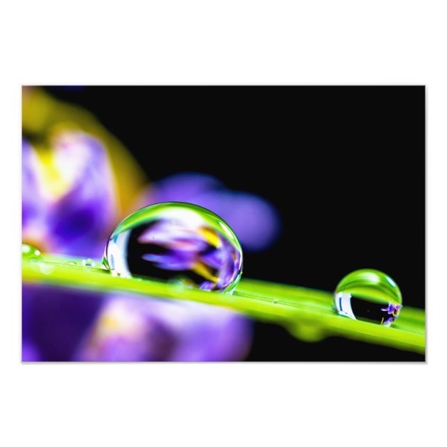 Impression Photo Macro goutte d'eau sur lame Grass Purple Flower (Devant)