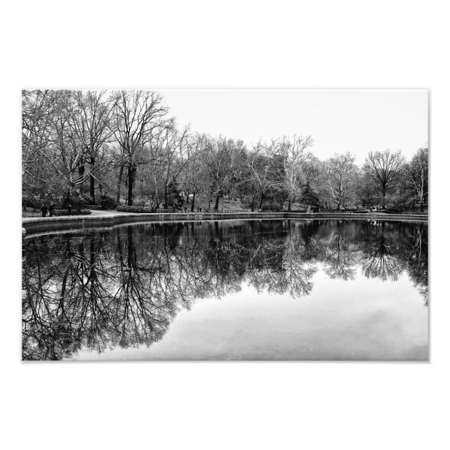 Impression Photo Magnifique paysage de Central Park en noir et blan (Devant)