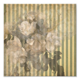 Impression Photo Magnolias sur le papier de cru de rayures