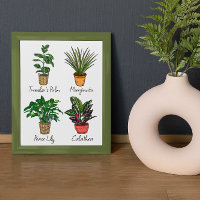 Main Drake House Plante Art