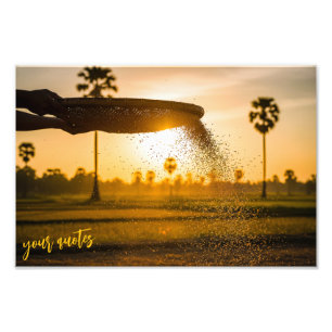 Impression Photo Mains tamisant le grain paysage rural 