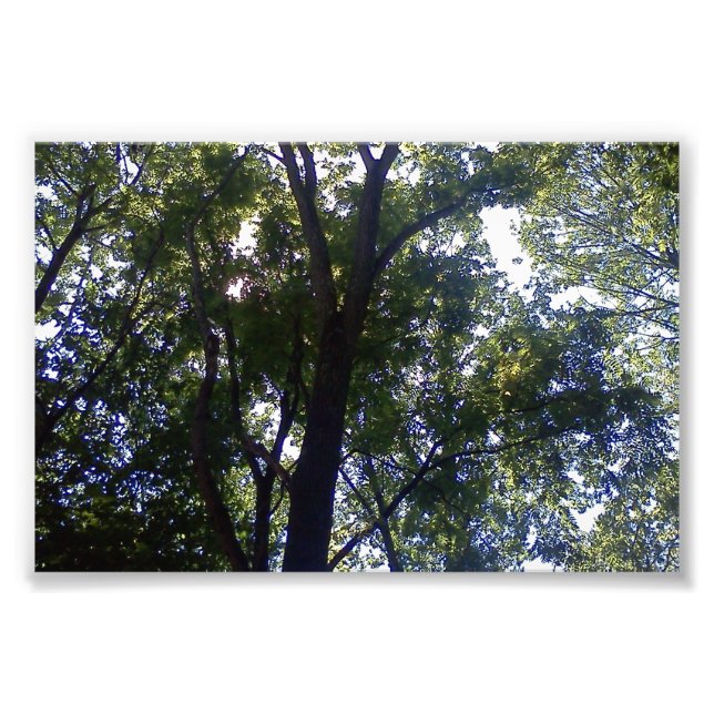 Impression Photo Maison des elfes (Devant)