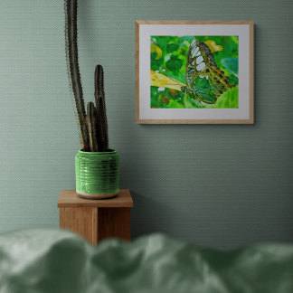 Impression Photo Malachite Butterfly on Green Leaf