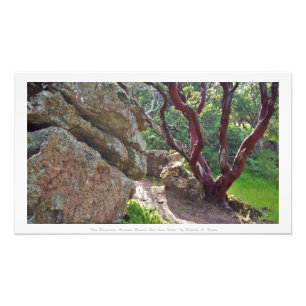 Impression Photo "Manzanita Rouge parmi les massifs de rochers roux