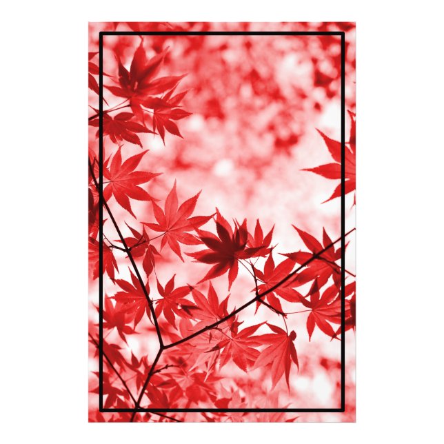 Impression Photo Maple Trees Design Feuille (Devant)