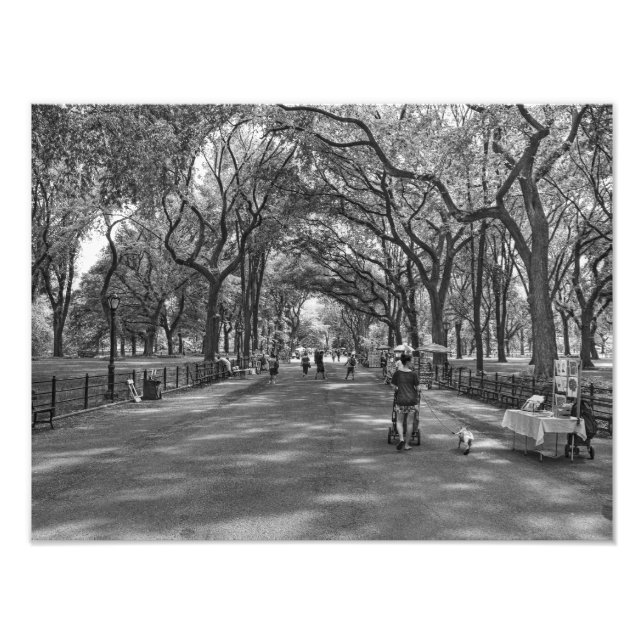 Impression Photo Marche littéraire - Central Park, New York (Devant)