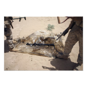 Impression Photo Marines