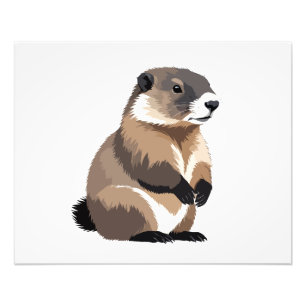 Impression Photo Marmot Vector Graphic Art Portrait Animal Spirit