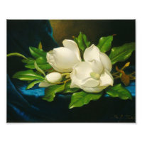 Martin Johnson Heade