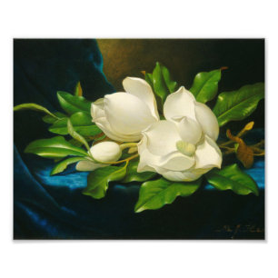 Impression Photo Martin Johnson Heade