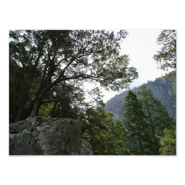 Impression Photo Matin sur le sentier à Vernal Falls à Yosemite (Devant)