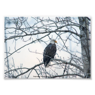 Impression Photo mécontent