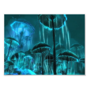 Impression Photo Méduses de champignon