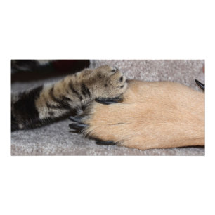 Impression Photo Meilleurs amis pour toujours par Shirley Taylor