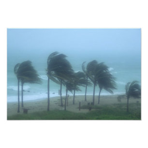 Impression Photo Miami Beach, Floride, vents d'ouragan fouettant