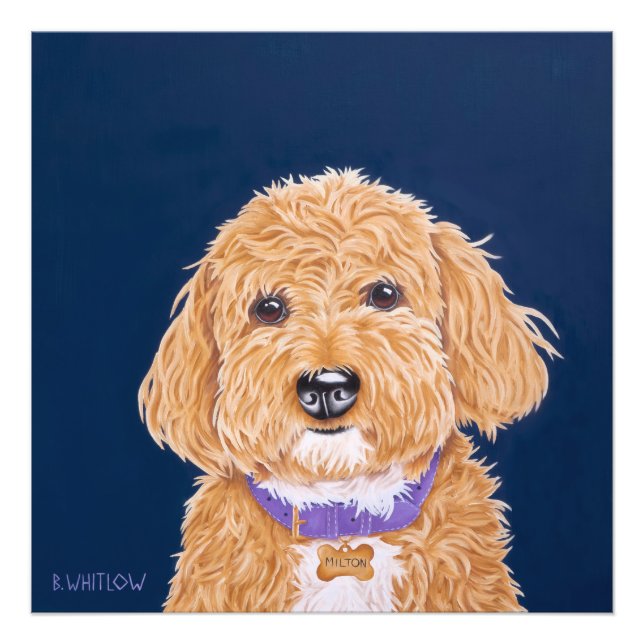 Impression Photo Mini Golden Doodle (Devant)