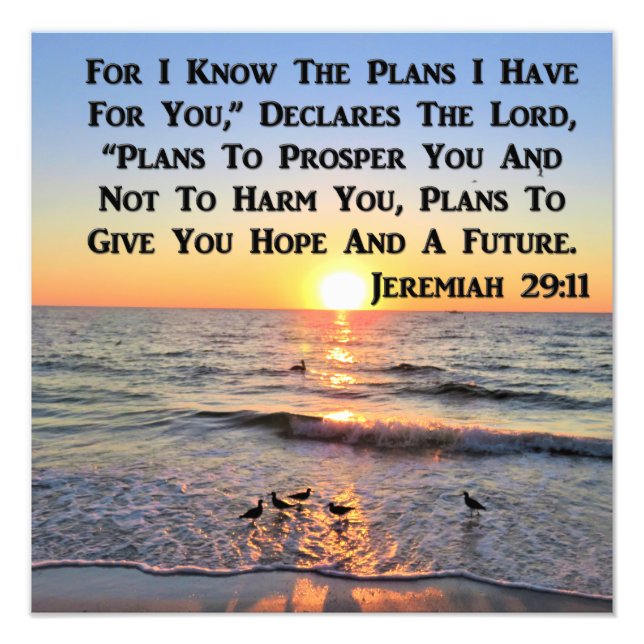 IMPRESSION PHOTO MISE EN LIGNE DE JEREMIAH 29:11 SCELER (Devant)