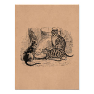 Impression Photo Modèle d'illustration de chats de la grange vintag