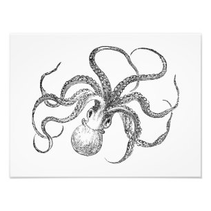 Impression Photo Modèle Octopus vintage