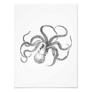 Impression Photo Modèle Octopus vintage