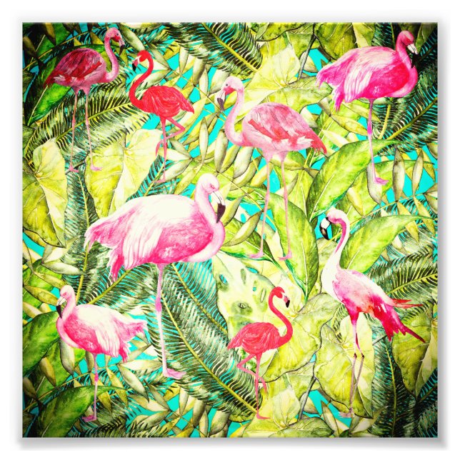 Impression Photo Mon Jardin de Flamant rose d'oiseaux de la jungle  (Devant)