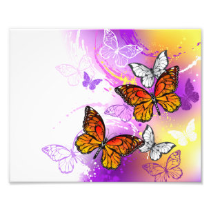 Impression Photo Monarch Butterflies on Purple Background
