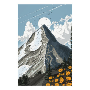 Impression Photo Montagne enneigée de Suisse
