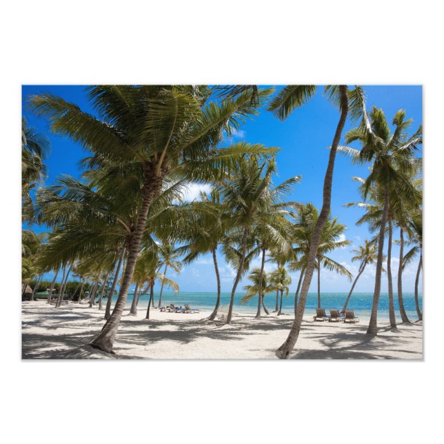 Impression Photo Moorings Resort, Marathon, Key West, (Devant)