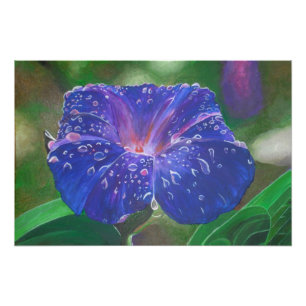Impression Photo Morning Glory (Ipomoea Purpurea) Petals et Dew Dr.