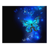 Morpho Butterfly in the Dark Background
