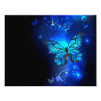 Morpho Butterfly in the Dark Background