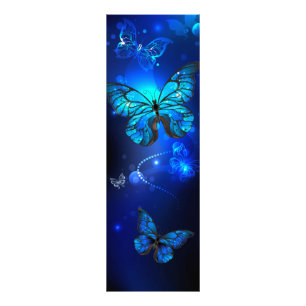 Impression Photo Morpho Butterfly in the Dark Background