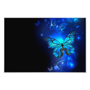 Impression Photo Morpho Butterfly in the Dark Background