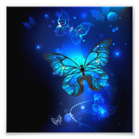 Morpho Butterfly in the Dark Background