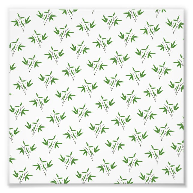 Impression Photo Motif de bambou twig (Devant)