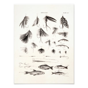 Impression Photo Mouches de pêche à la mouche vintage 1800 anciens