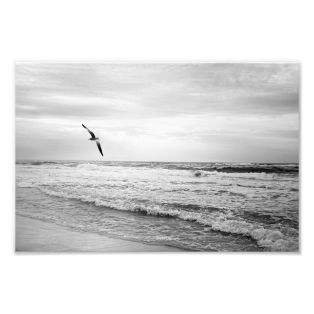 Impression Photo Mouette grise au-dessus de l'océan Noir et blanc (Devant)