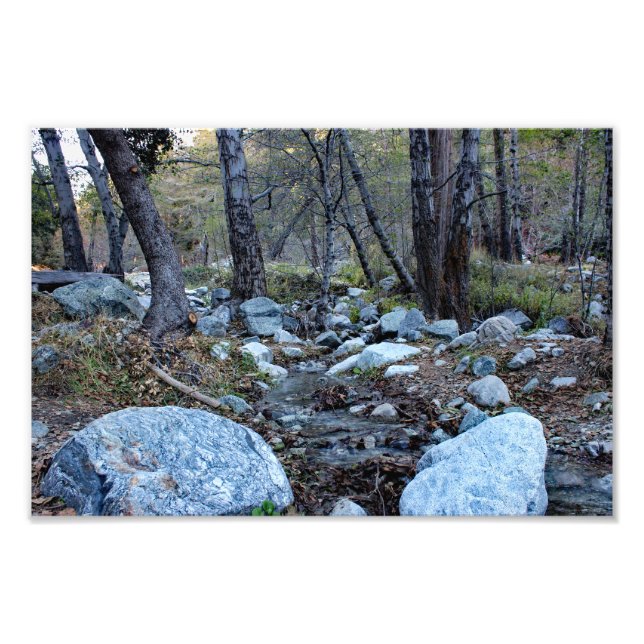 Impression Photo Mount Baldy  (Devant)