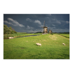Impression Photo Moutons avec moulins à vent sous des nuages sombre