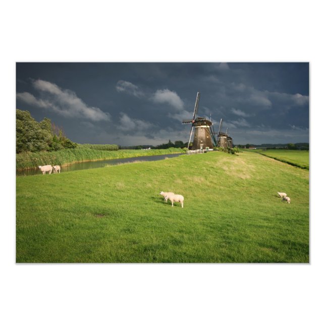 Impression Photo Moutons avec moulins à vent sous des nuages sombre (Devant)