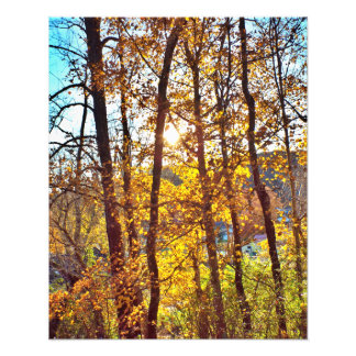 Impression Photo my view