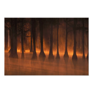 Impression Photo N.A., États-Unis, Géorgie, Parc d'état George S