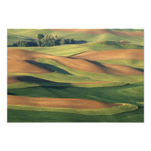 Impression Photo N.A., Etats-Unis, Washington, le comté de Whitman