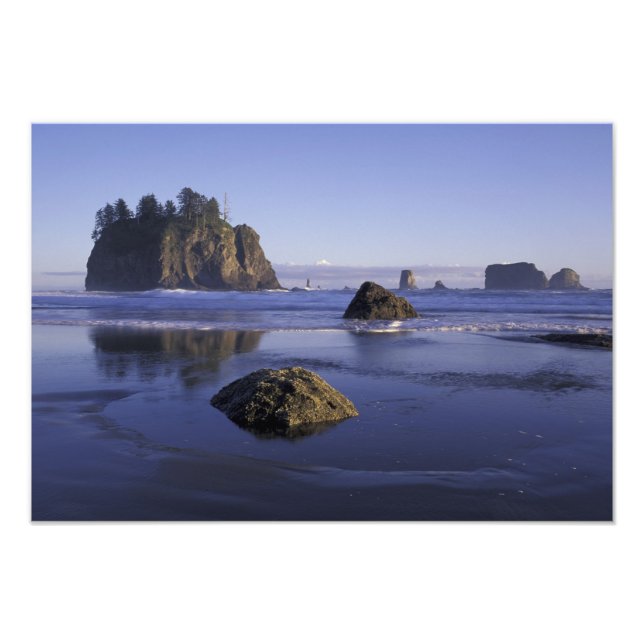 Impression Photo N.A., États-Unis, Washington, Parc National Olympi (Devant)