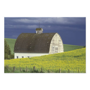 Impression Photo NA, États-Unis, Idaho, au sud de Genesse, champ de