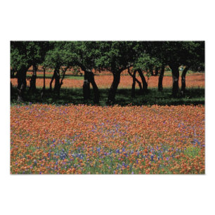 Impression Photo NA, Texas, Texas Hill Country, Buchan Dam,